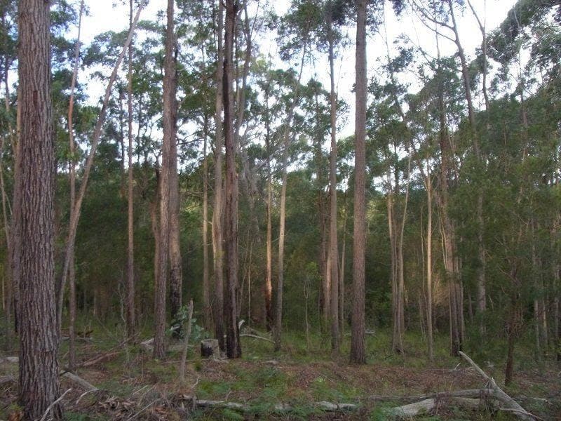 72 Kiaka Road, Nethercote, Nethercote - Thumbnail 2