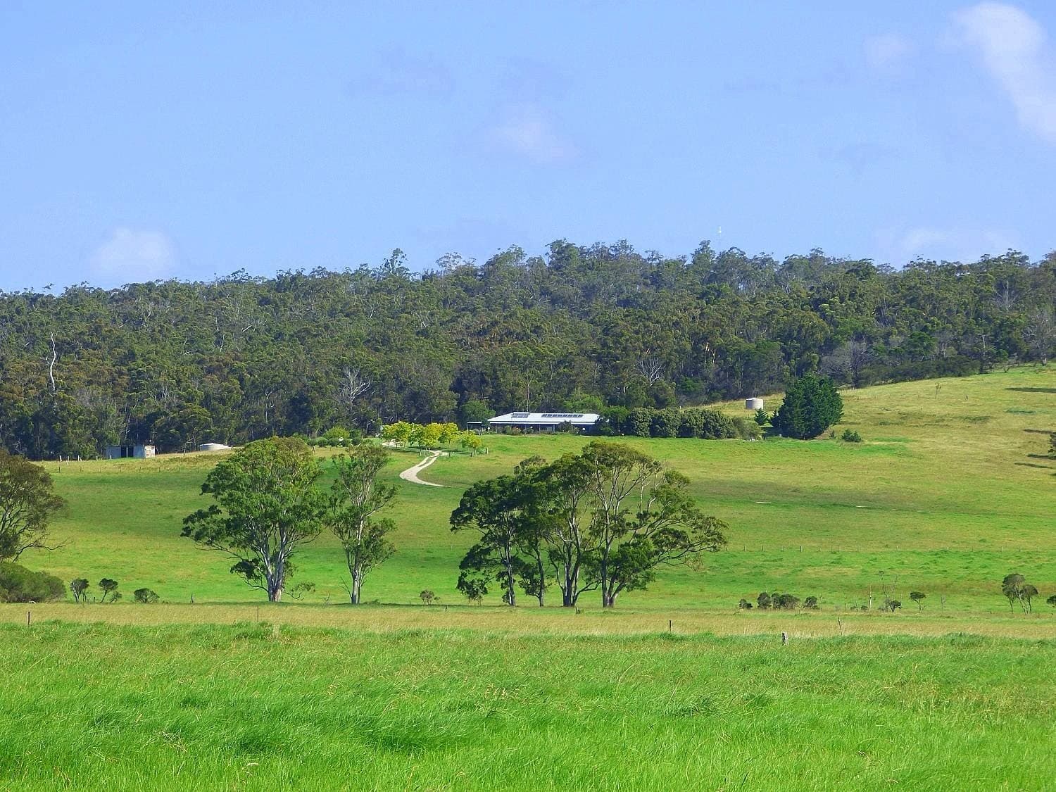 3739 Princes Highway, Pambula, Pambula - Thumbnail 3