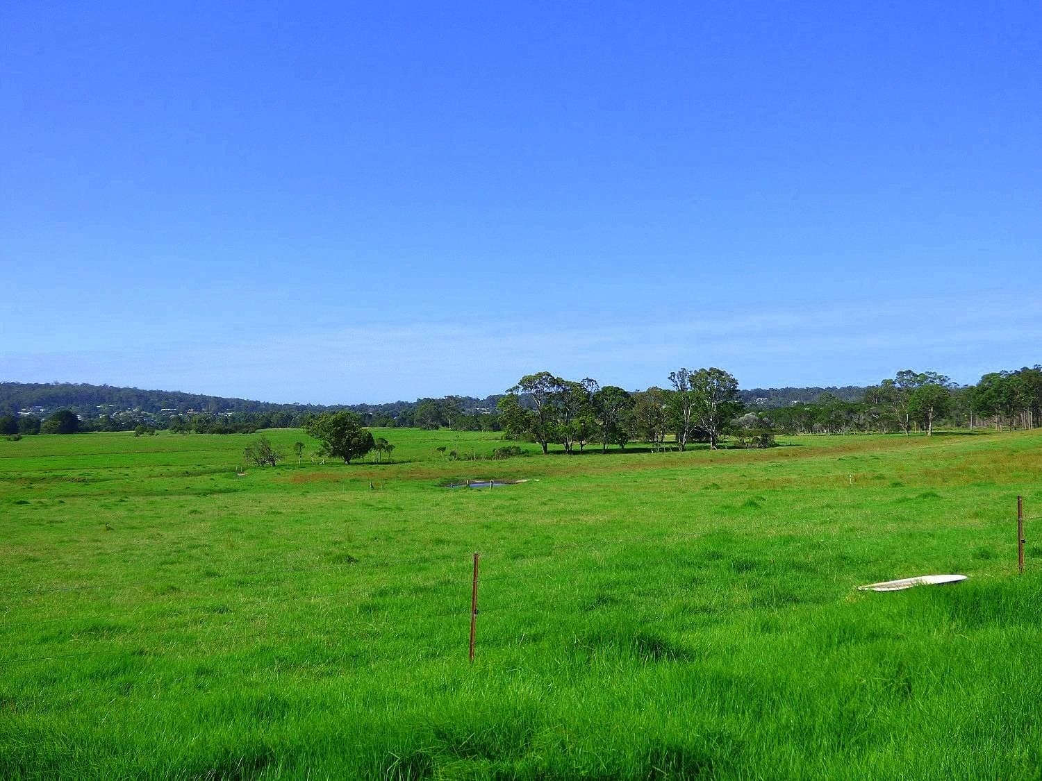 3739 Princes Highway, Pambula, Pambula - Thumbnail 5