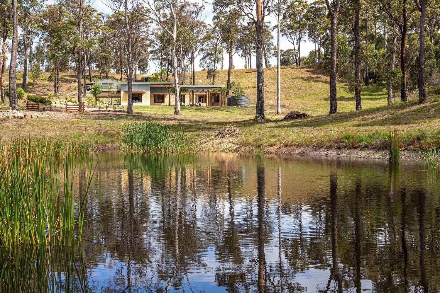 10 Grenenger Rd, GREIGS FLAT Via, Pambula, Pambula - Image 1
