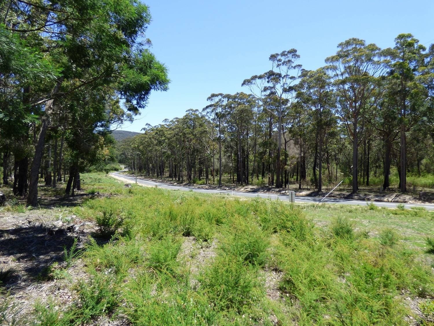 Lot 73 Gleeson Road, WONBOYN Via, Eden, Eden - Thumbnail 3
