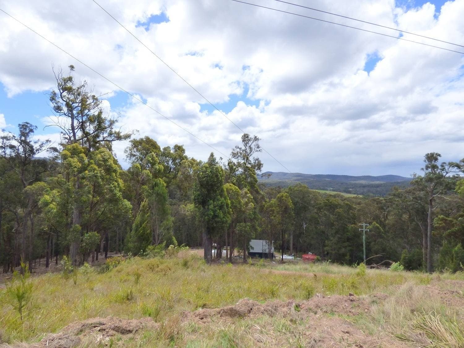 Lot 416 Lyrebird Lane, MILLINGANDI Via, Pambula, Pambula - Thumbnail 6
