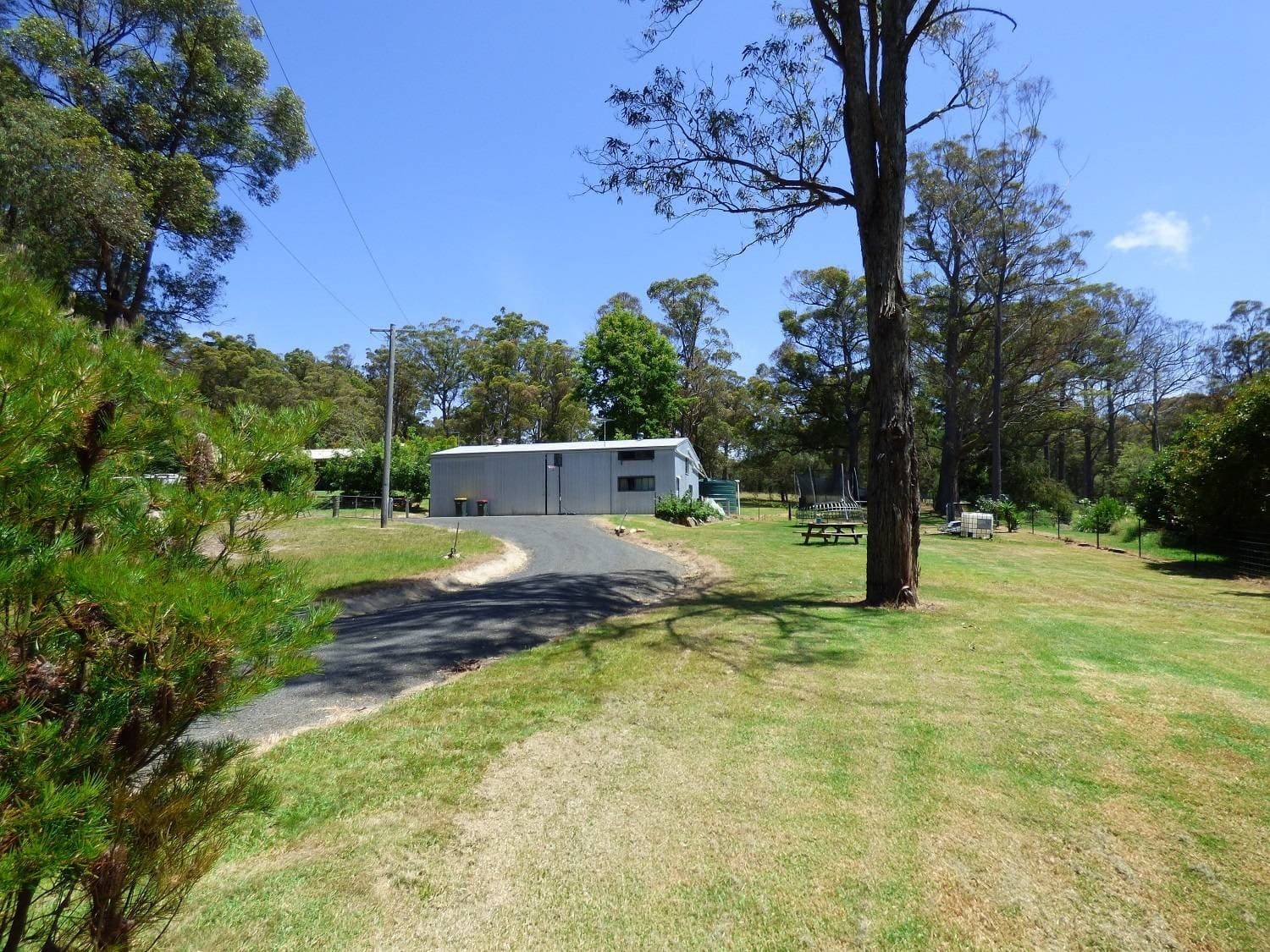 1559 Nethercote Rd, GRIEGS FLAT Via, Pambula, Pambula - Thumbnail 3