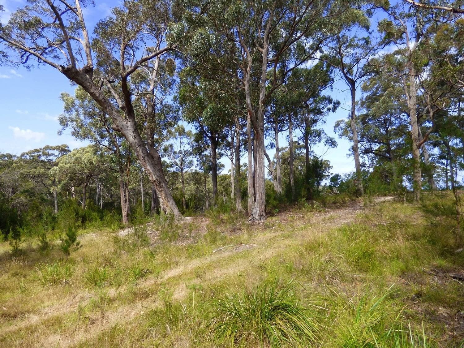 42 Komirra Dr, Eden, Eden - Thumbnail 4