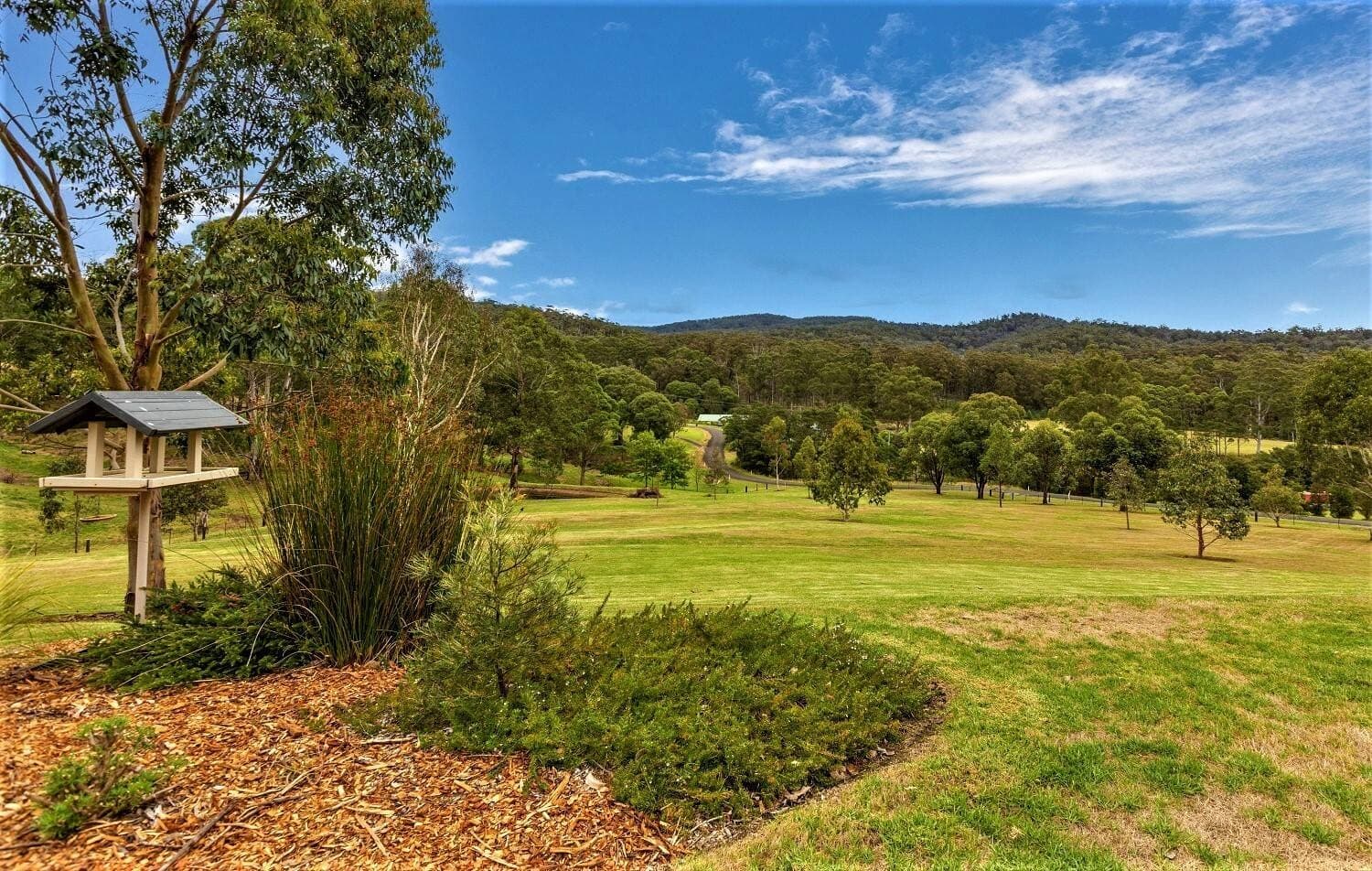 3 Florabunda Pl, Nethercote, Nethercote - Thumbnail 8
