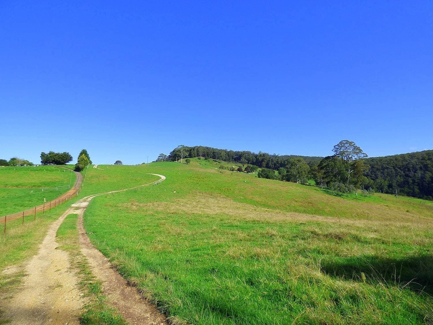 200 Ballantyne Rd, Nethercote, Nethercote - Thumbnail 4