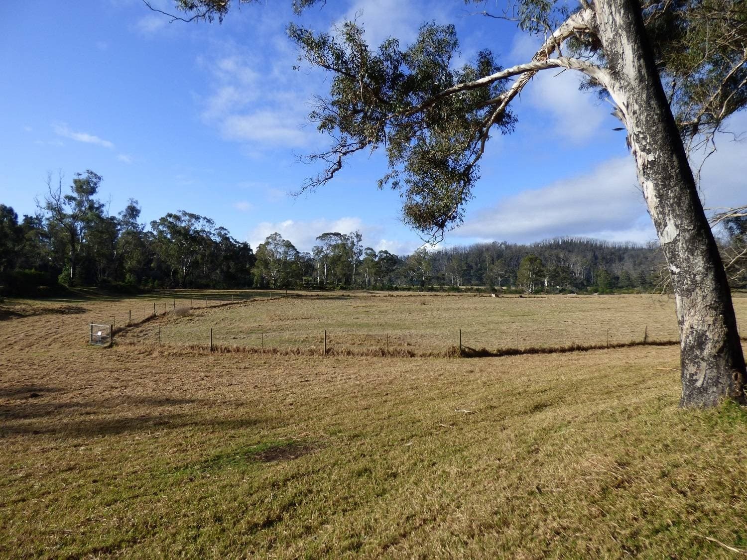 165 Shelleys Road, KIAH VIA, Eden, Eden - Thumbnail 3