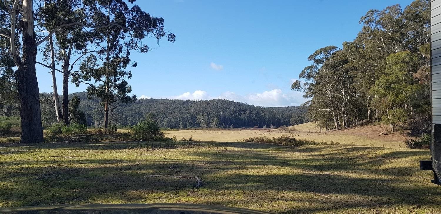 165 Shelleys Road, KIAH VIA, Eden, Eden - Thumbnail 4