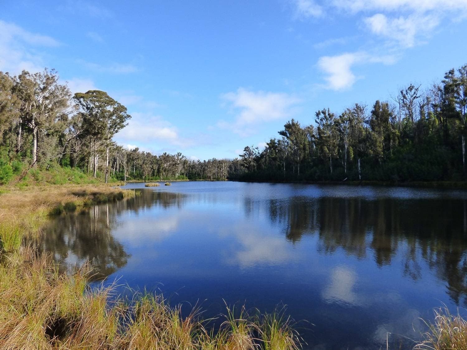 165 Shelleys Road, KIAH VIA, Eden, Eden - Thumbnail 6