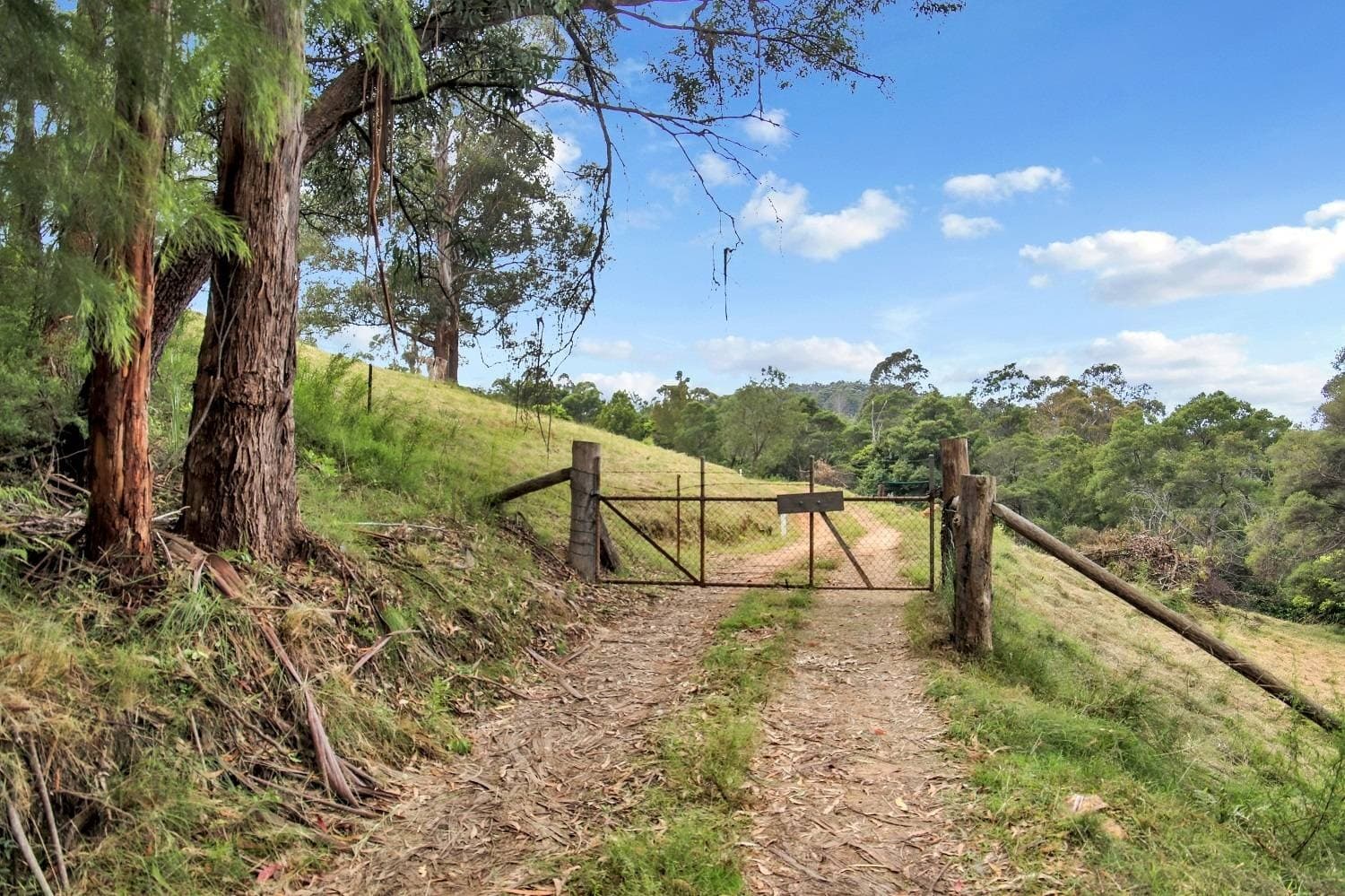 1412 Mount Darragh Rd, Lochiel, Lochiel - Thumbnail 2