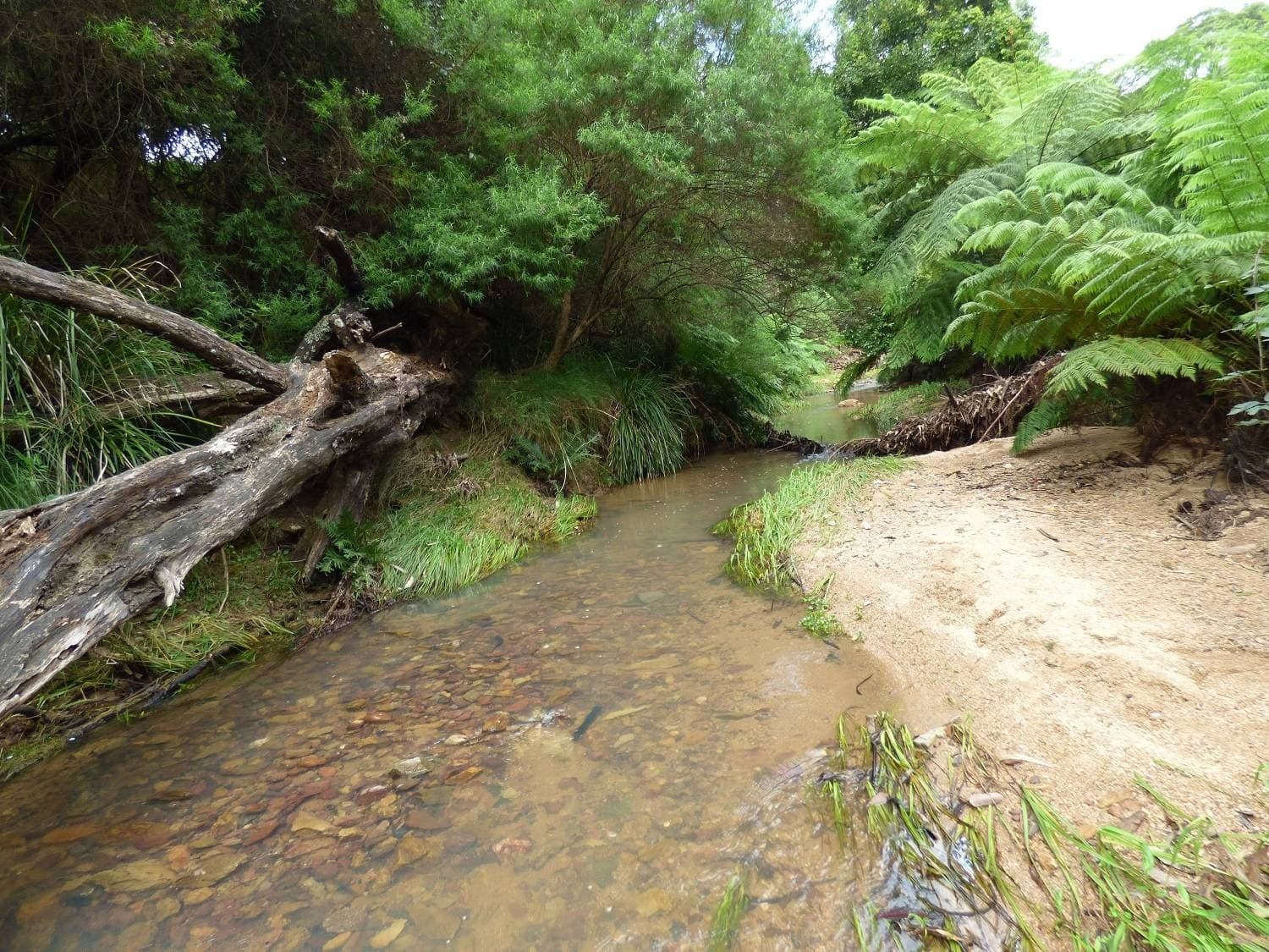 1412 Mount Darragh Rd, Lochiel, Lochiel - Thumbnail 4