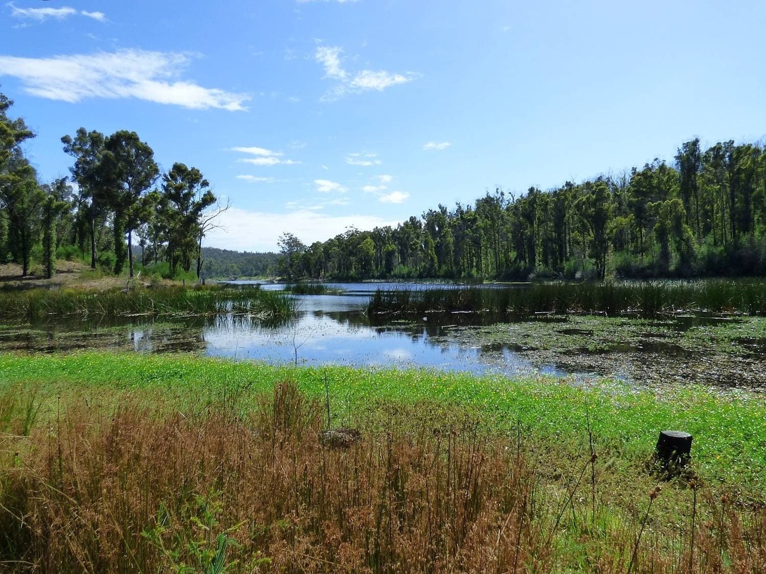 1471 Princes Highway KIAH Via, Eden, Eden - Thumbnail 8