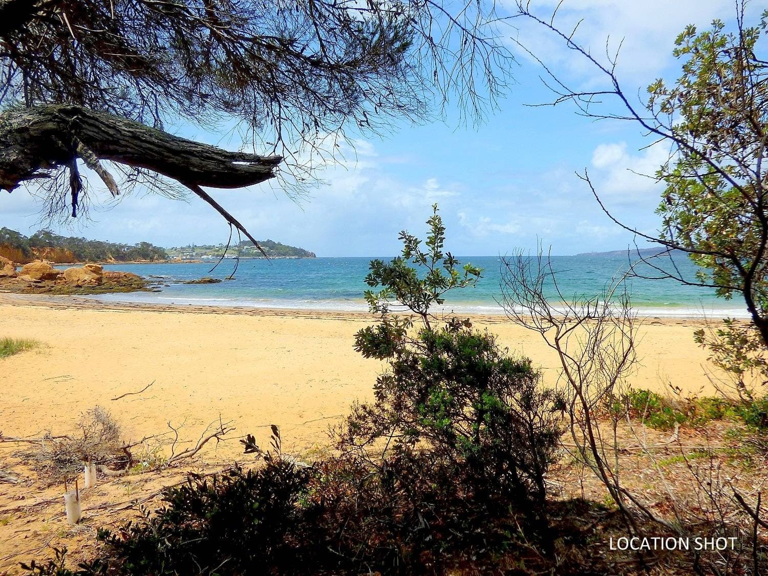 Lot G, 256 Towamba Road, Eden, Eden - Thumbnail 8
