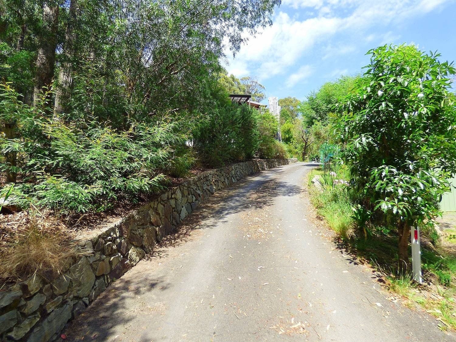 2,14 Wonboyn Road, WONBOYN Via, Eden, Eden - Thumbnail 3