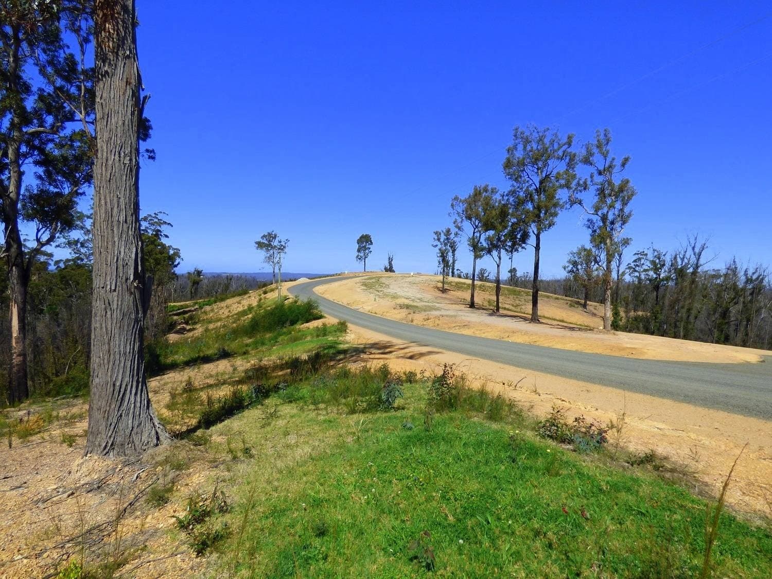 Lot F, 256 Towamba Road, Eden, Eden - Thumbnail 5