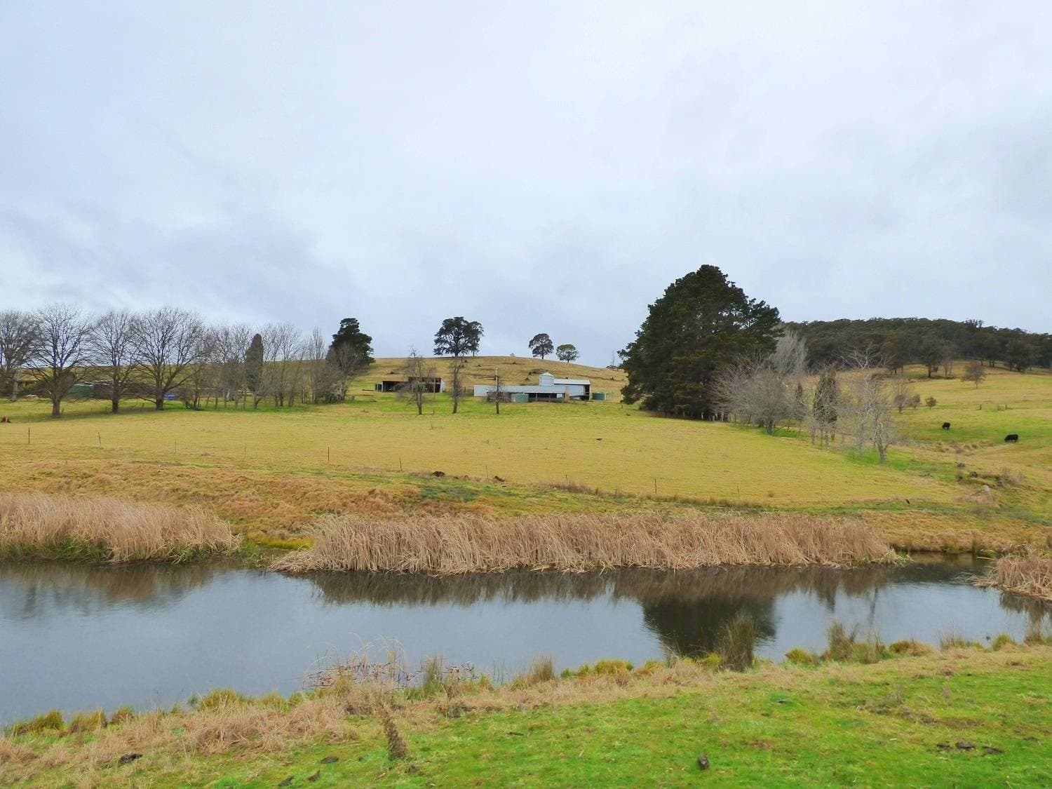 166 Green Hill Lane, Wyndham, Wyndham - Thumbnail 4