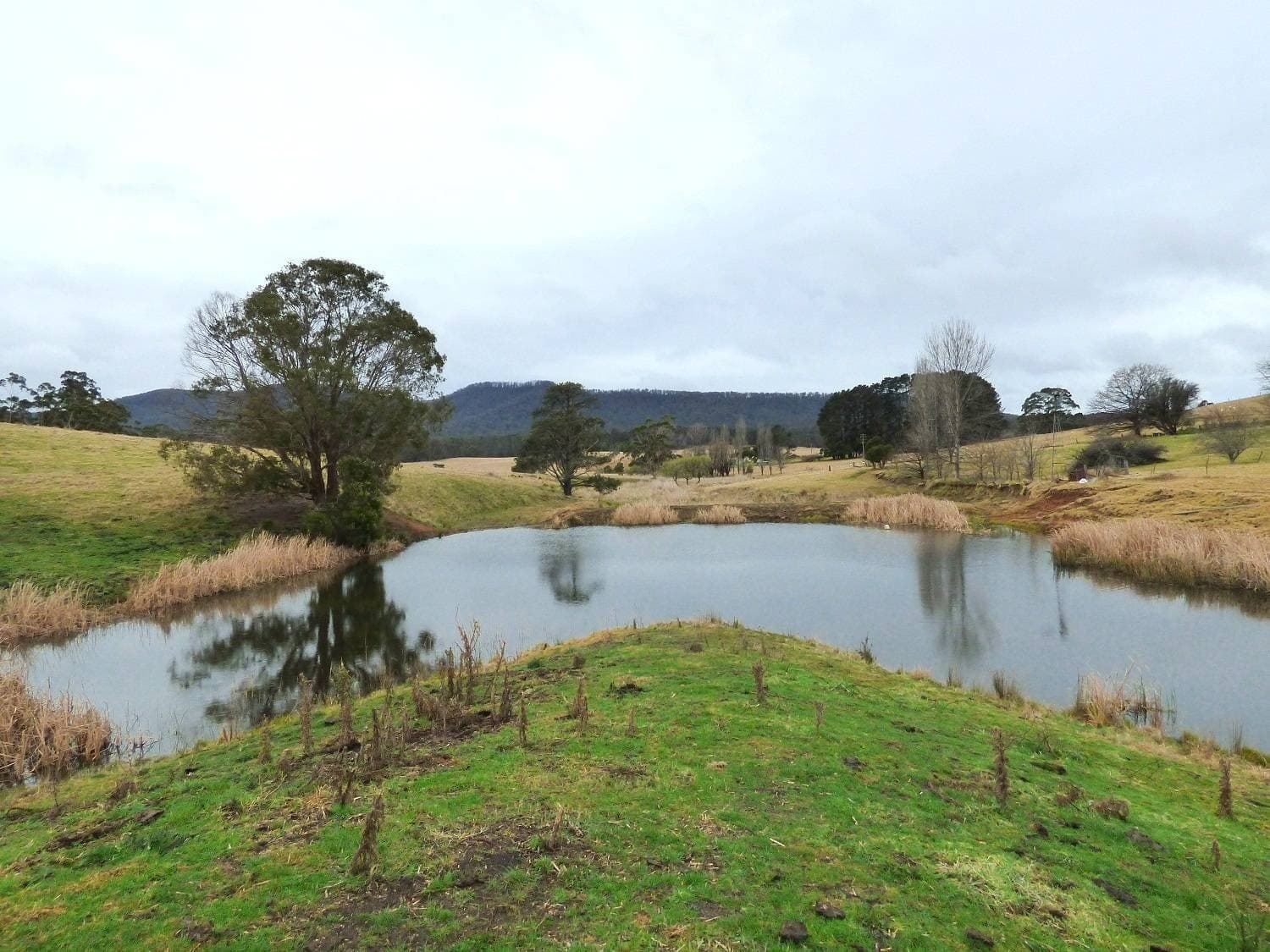 166 Green Hill Lane, Wyndham, Wyndham - Thumbnail 7