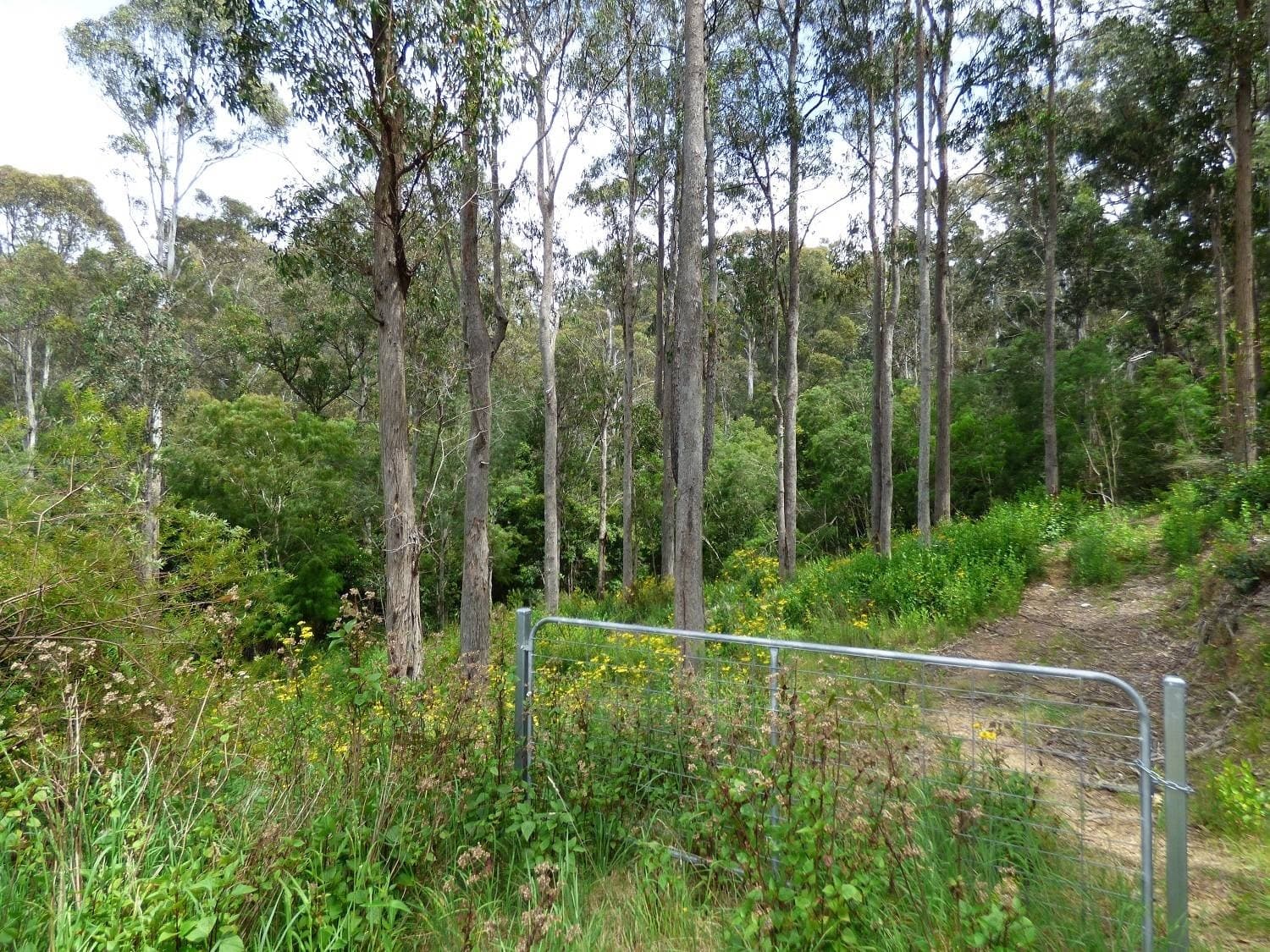 3 Whale Cove Cct, Eden, Eden - Image 1