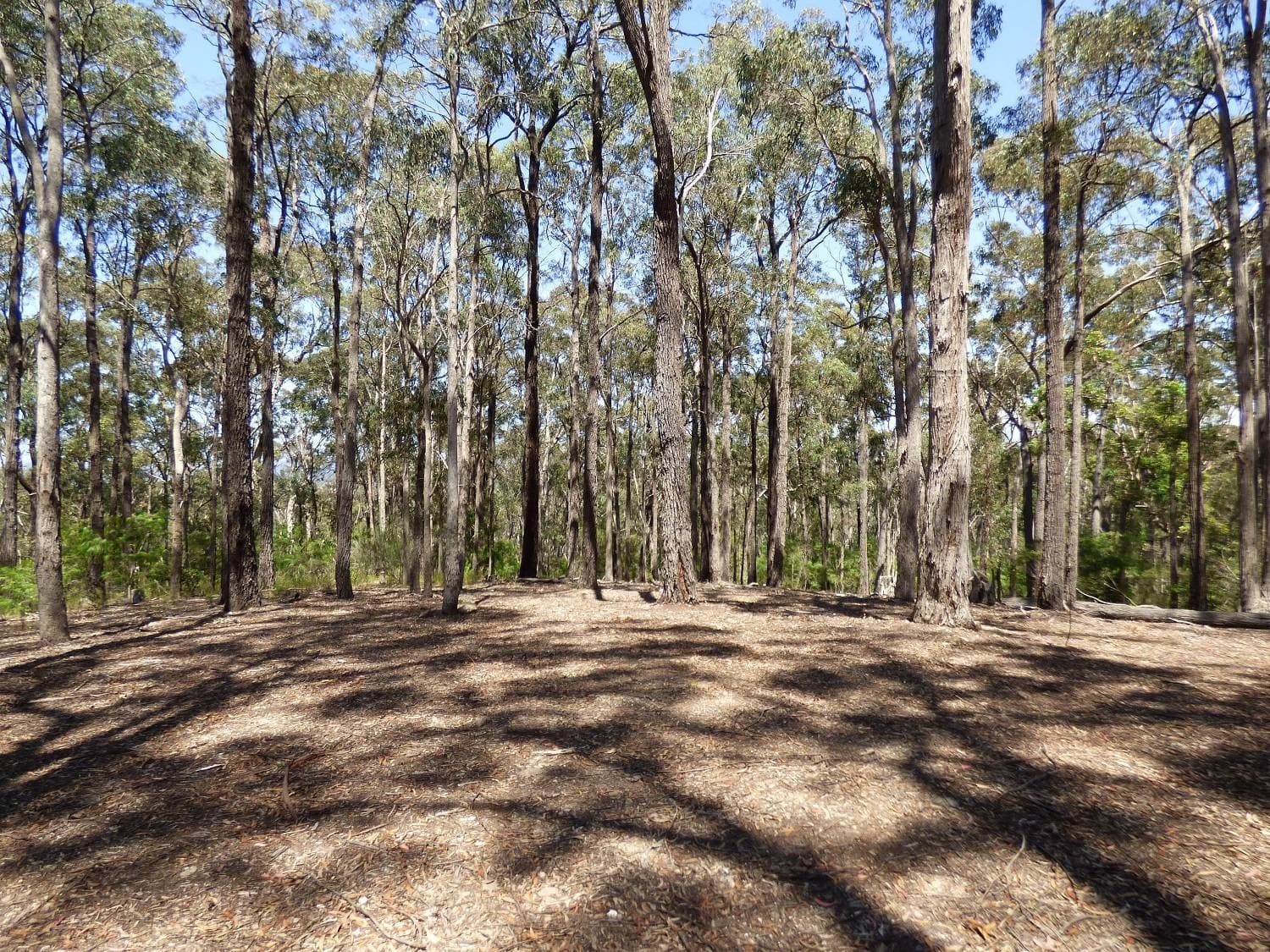 208 Princes Hwy, Eden, Eden - Thumbnail 4