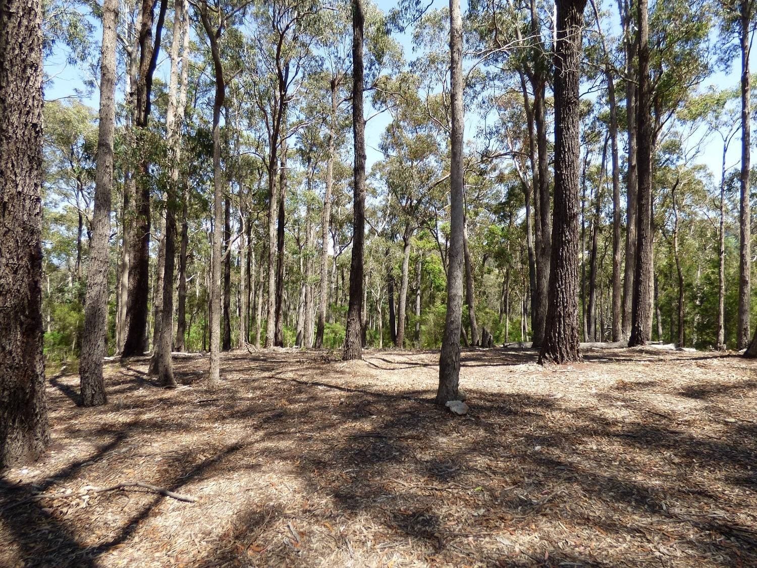 208 Princes Hwy, Eden, Eden - Thumbnail 8