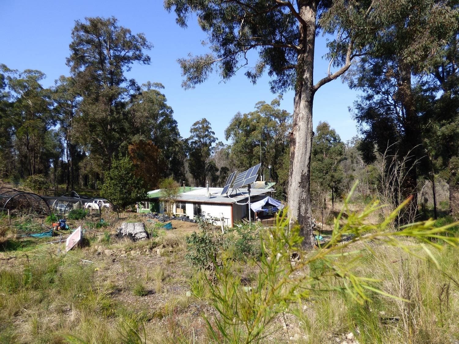 24 Imlay Rd, Narrabarba Via, Eden, Eden - Thumbnail 4