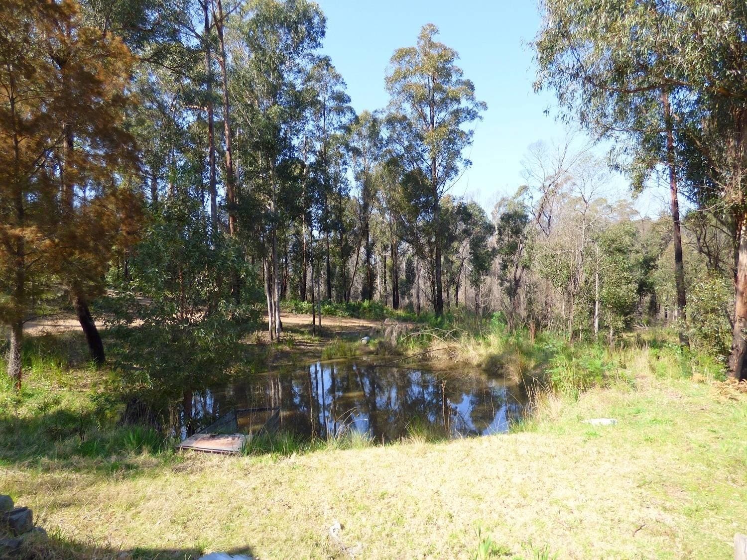 24 Imlay Rd, Narrabarba Via, Eden, Eden - Thumbnail 8