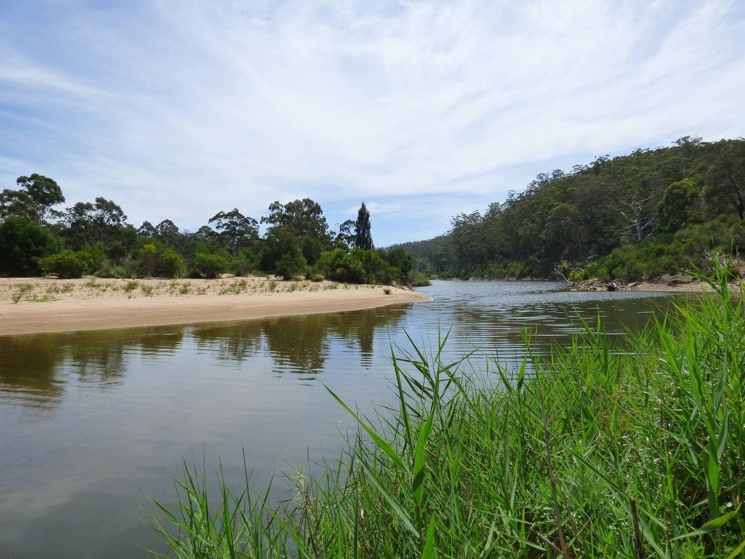 "Freshwater Farm" Shelleys Road KIAH Via, Eden, Eden - Thumbnail 4