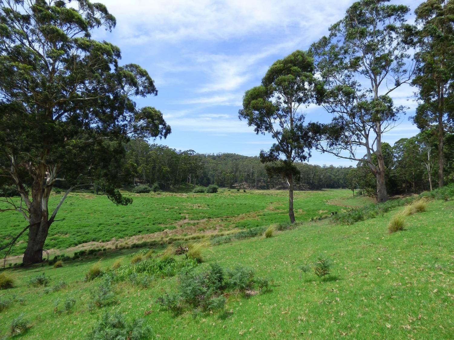 "Freshwater Farm" Shelleys Road KIAH Via, Eden, Eden - Thumbnail 5