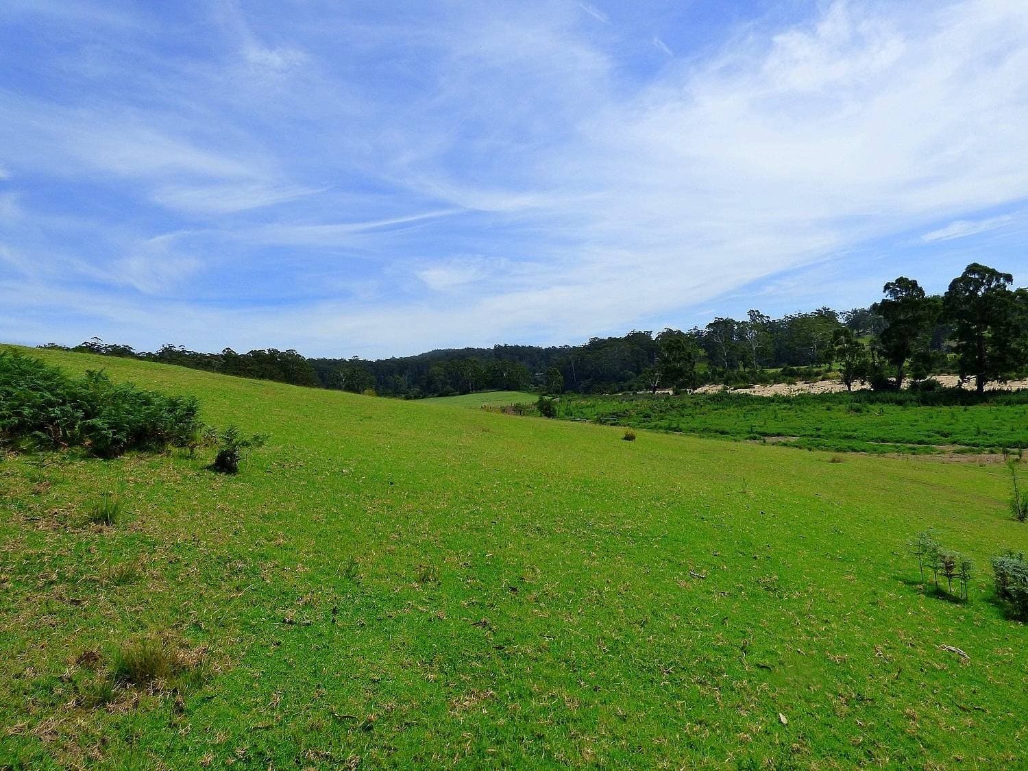 "Freshwater Farm" Shelleys Road KIAH Via, Eden, Eden - Thumbnail 8
