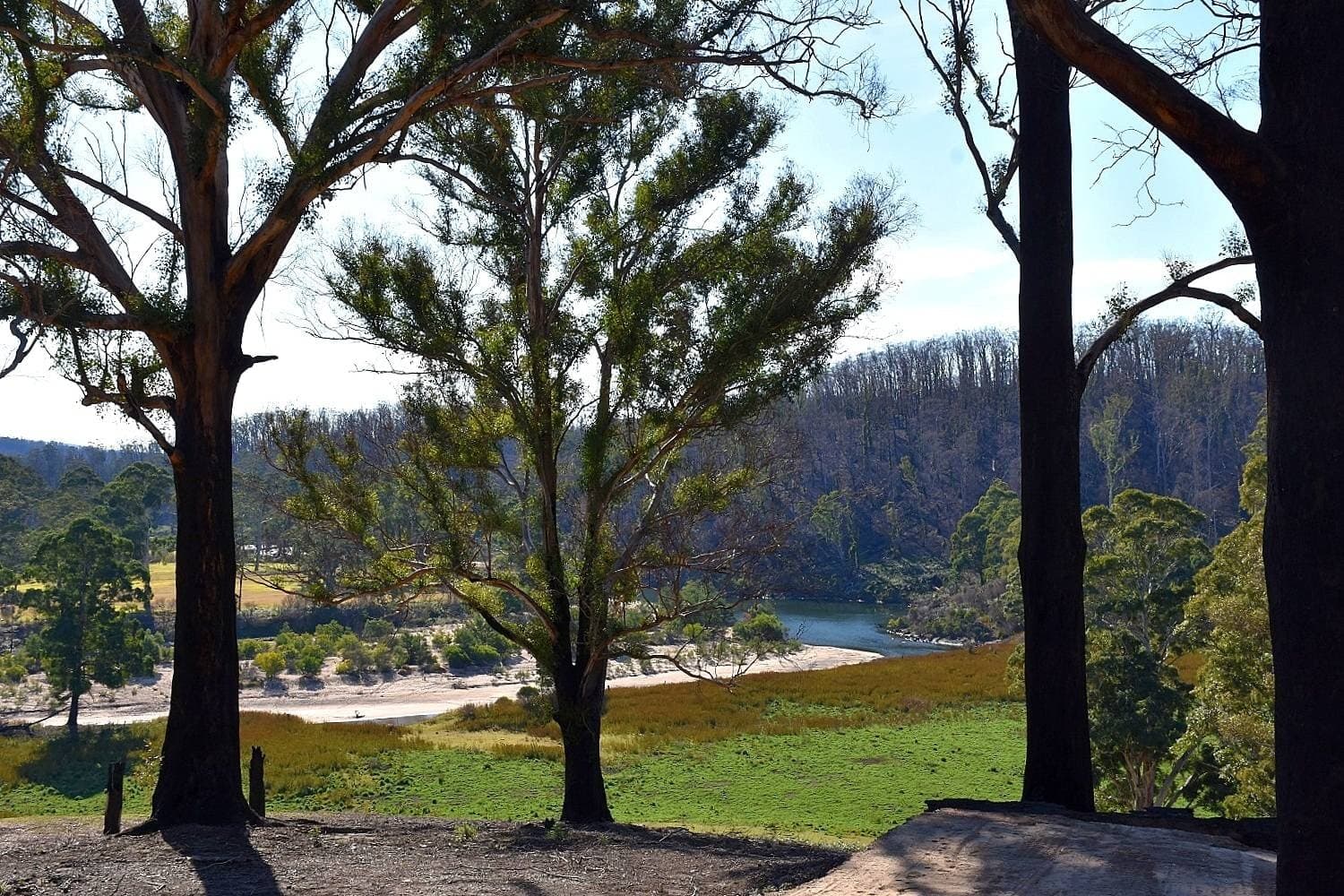 "Freshwater Farm" Shelleys Road KIAH Via, Eden, Eden - Thumbnail 8