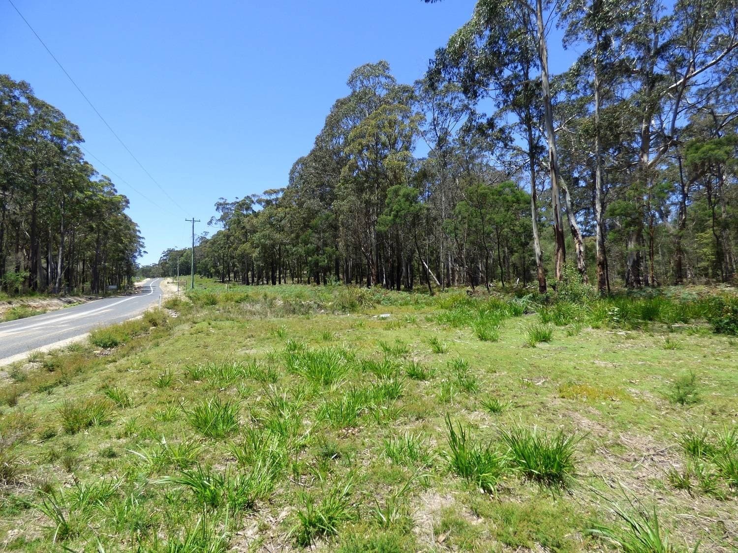 Proposed LOT A,  Gleeson Road Wonboyn Via, Eden, Eden - Thumbnail 3