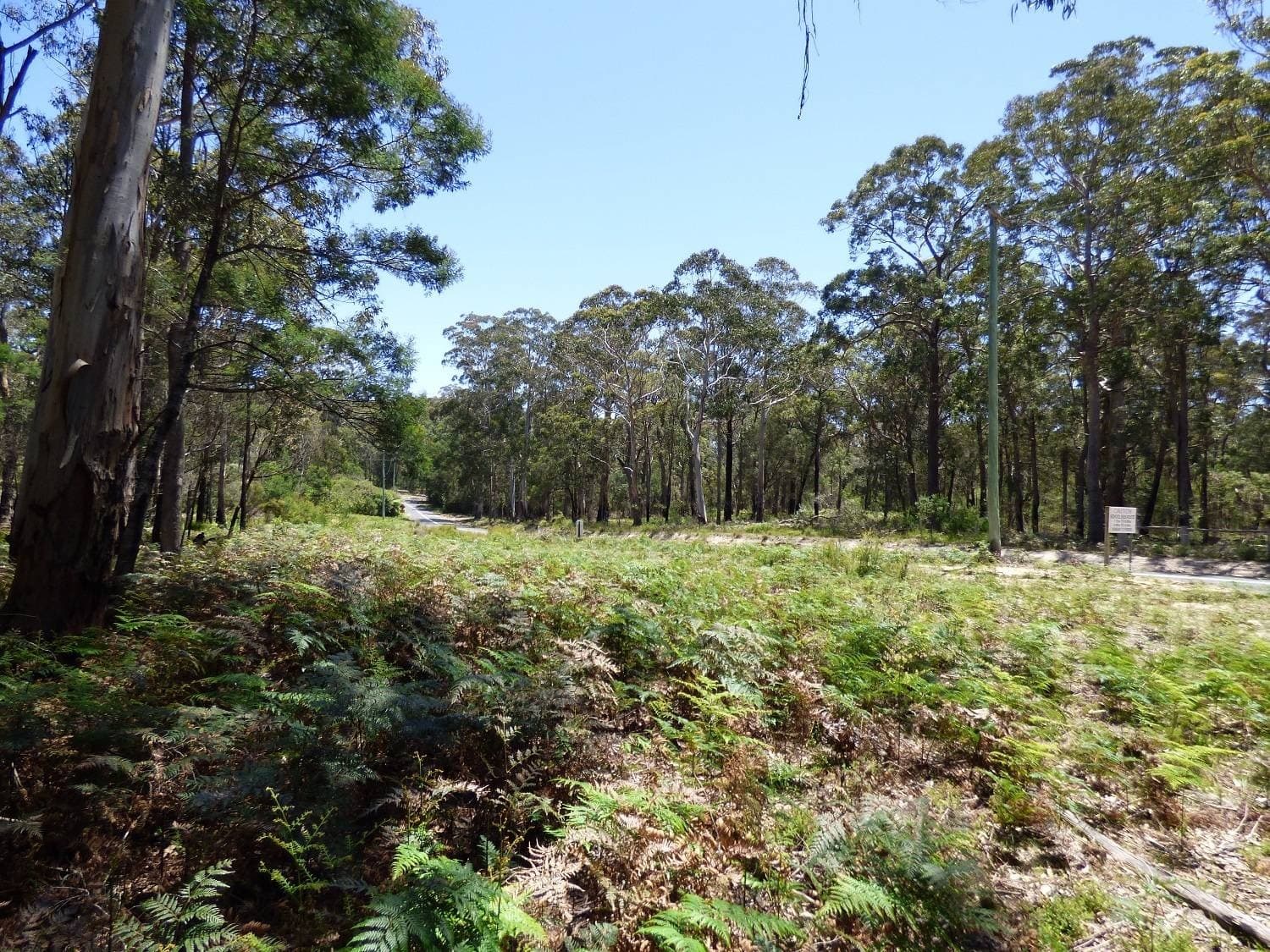 Proposed LOT A,  Gleeson Road Wonboyn Via, Eden, Eden - Thumbnail 8