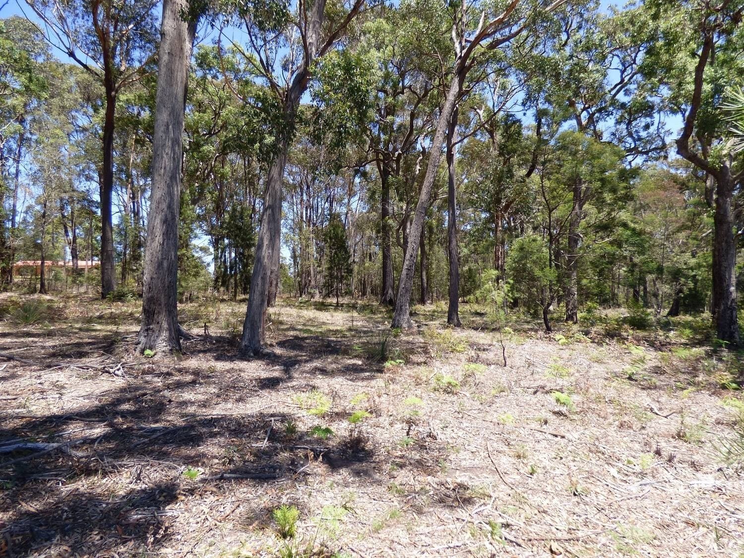 Proposed Lot D,  Gleeson Road Wonboyn Via, Eden, Eden - Thumbnail 8
