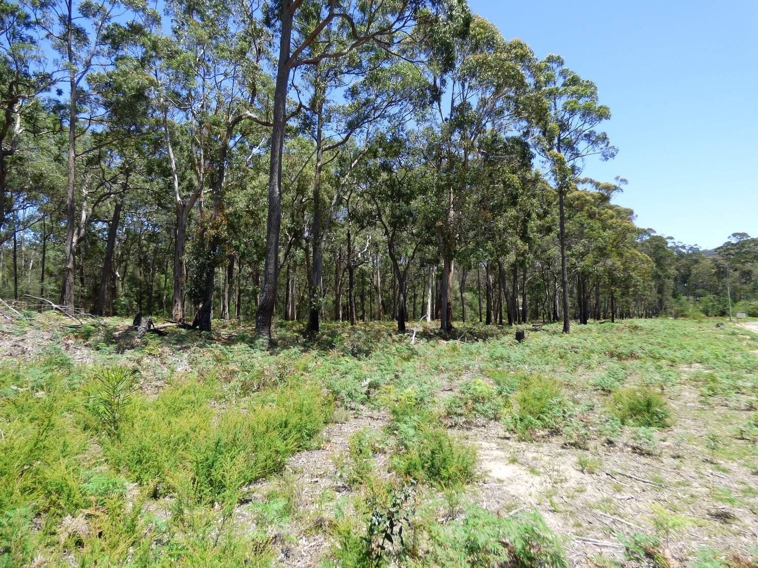 LOT B Gleeson Road Wonboyn Via, Eden, Eden - Thumbnail 3