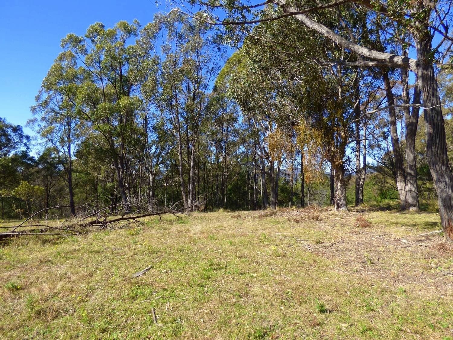 Lots 176,178 & 179 Umback Road, Wyndham, Wyndham - Thumbnail 3