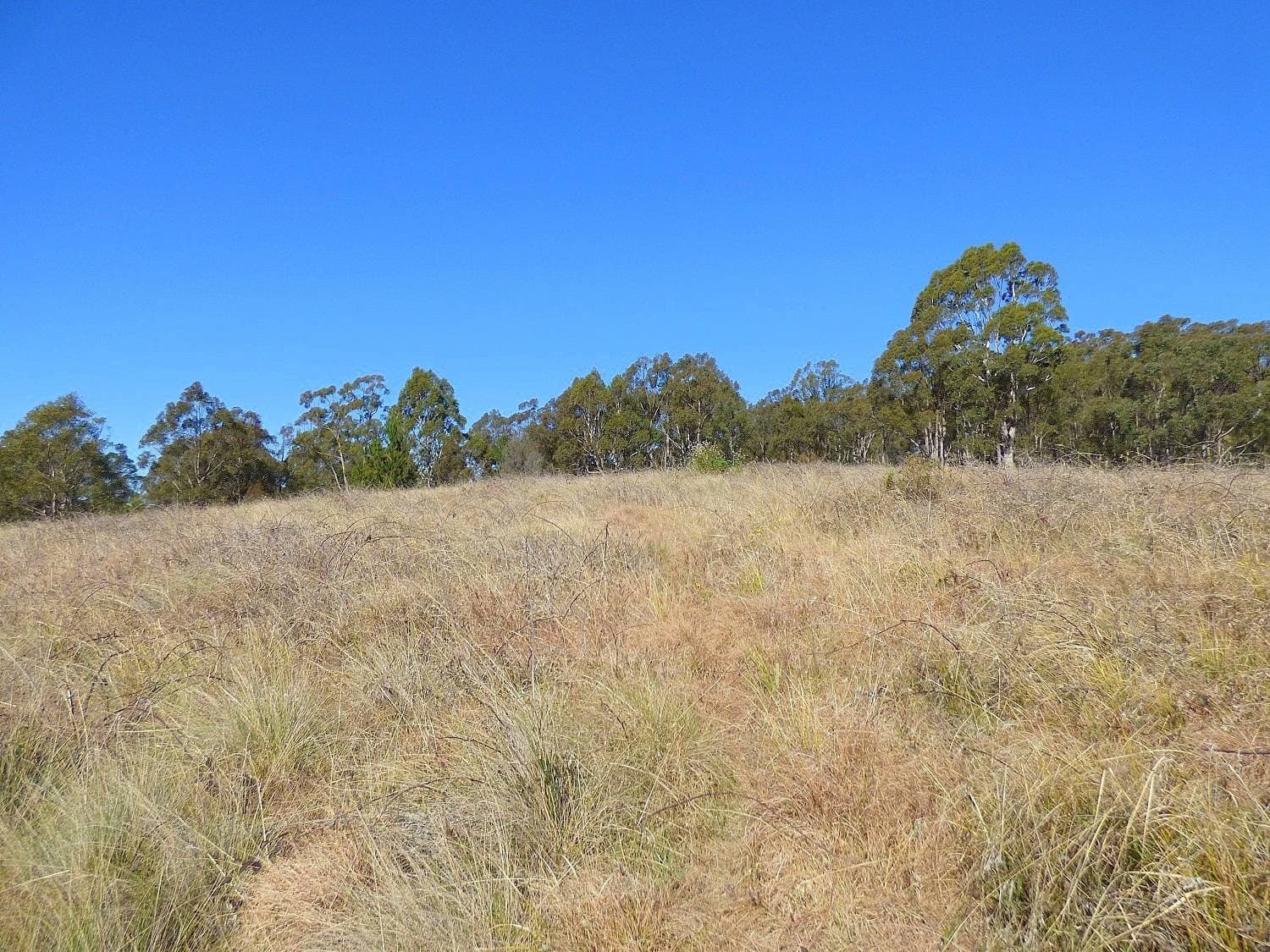 Lots 176,178 & 179 Umback Road, Wyndham, Wyndham - Thumbnail 4
