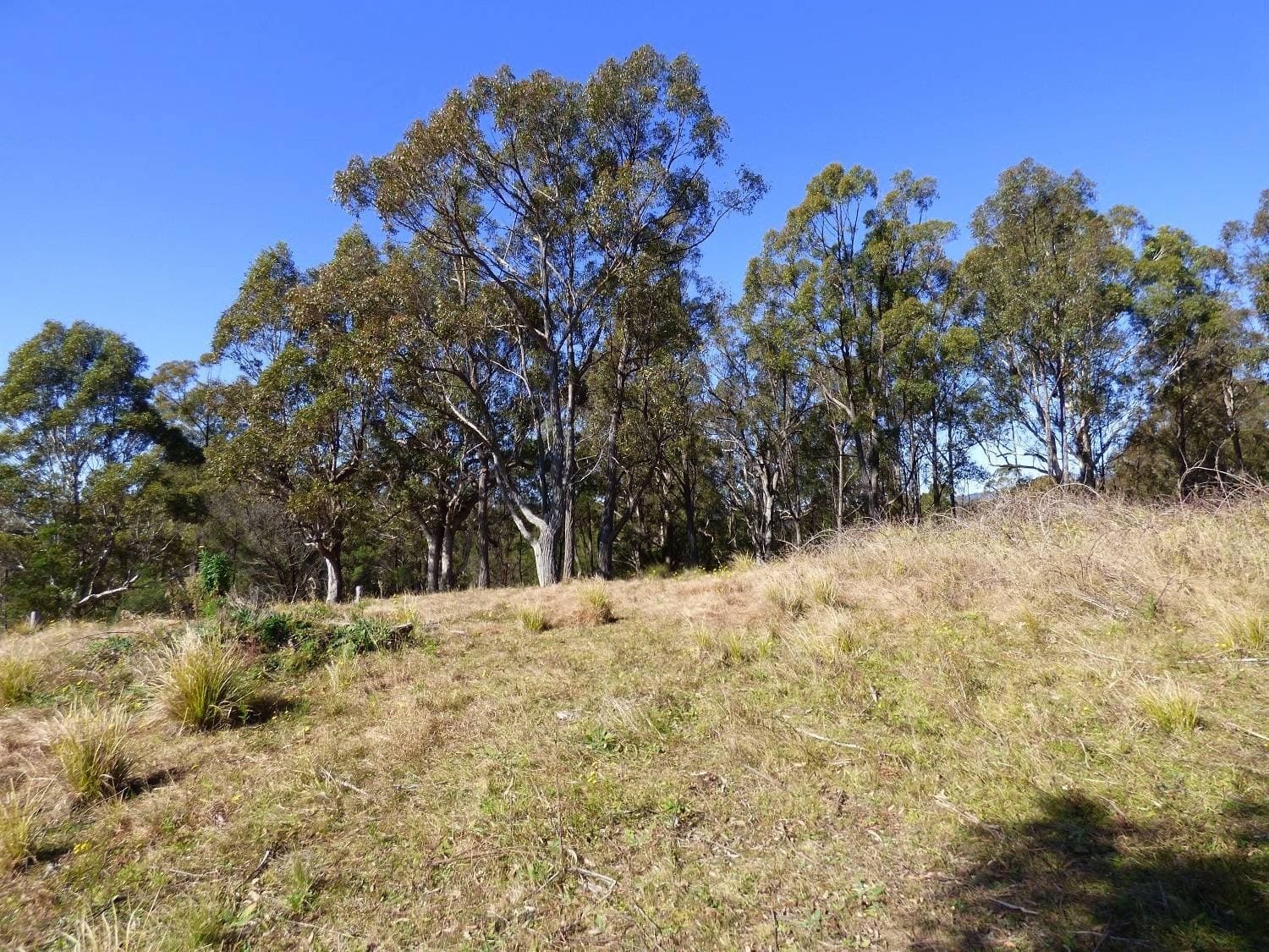 Lots 176,178 & 179 Umback Road, Wyndham, Wyndham - Thumbnail 5