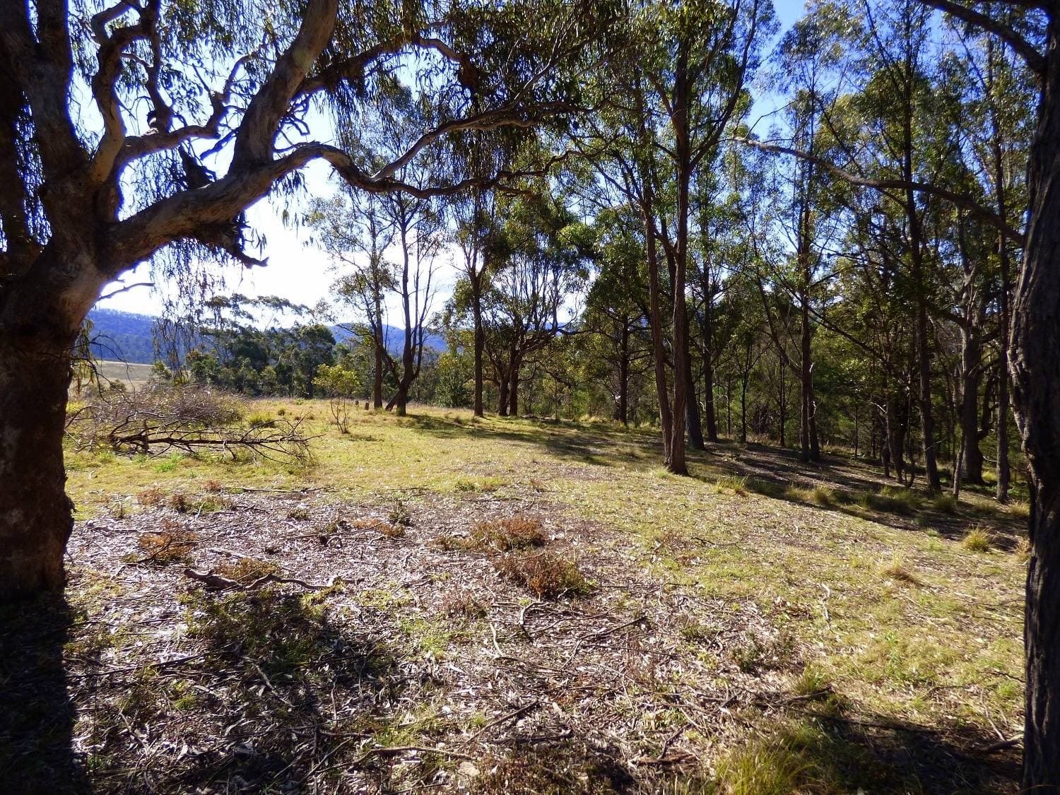 Lots 176,178 & 179 Umback Road, Wyndham, Wyndham - Thumbnail 7