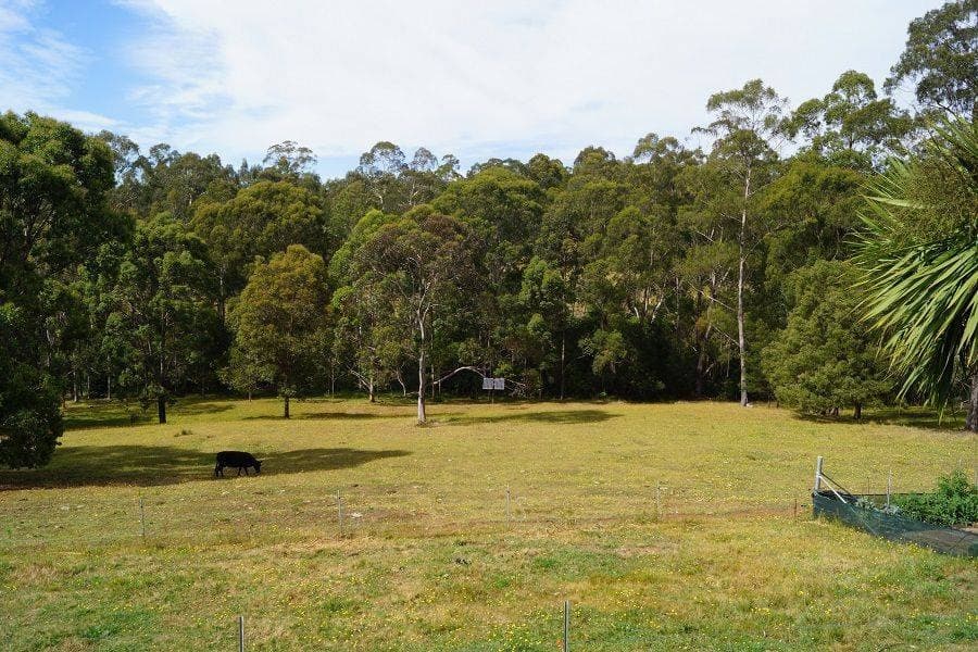 9 Back Creek Road, Nethercote, Nethercote - Thumbnail 2