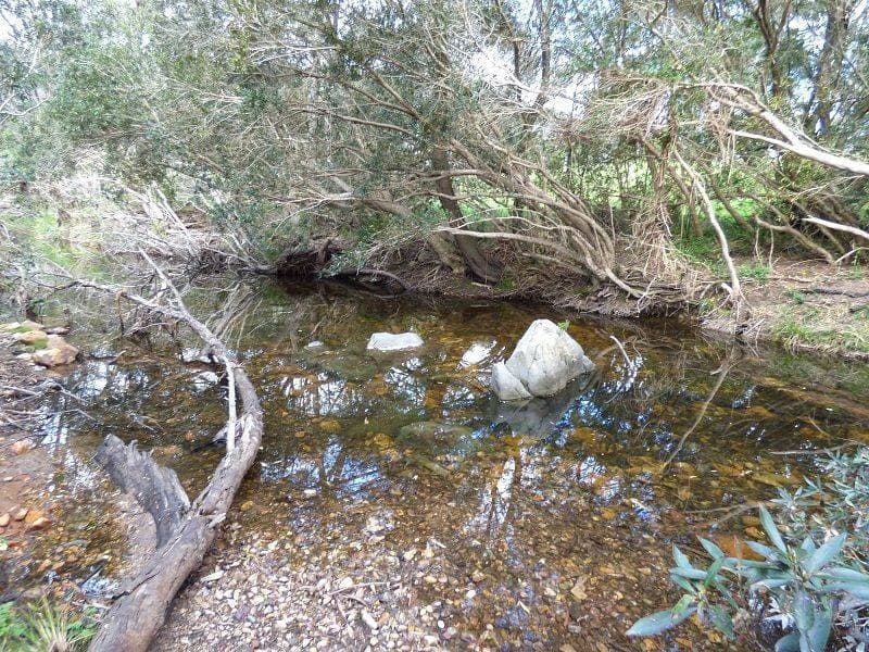 9 Back Creek Road, Nethercote, Nethercote - Thumbnail 4