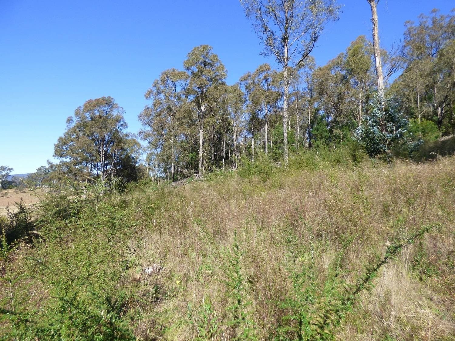 Lot 177 Umback Road, Wyndham, Wyndham - Thumbnail 2