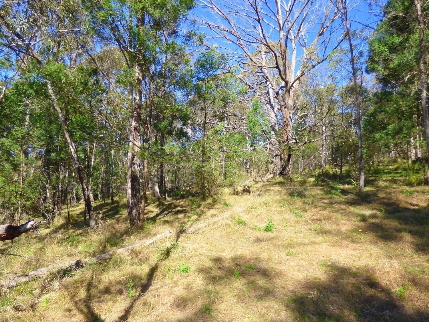 Lot 177 Umback Road, Wyndham, Wyndham - Thumbnail 5