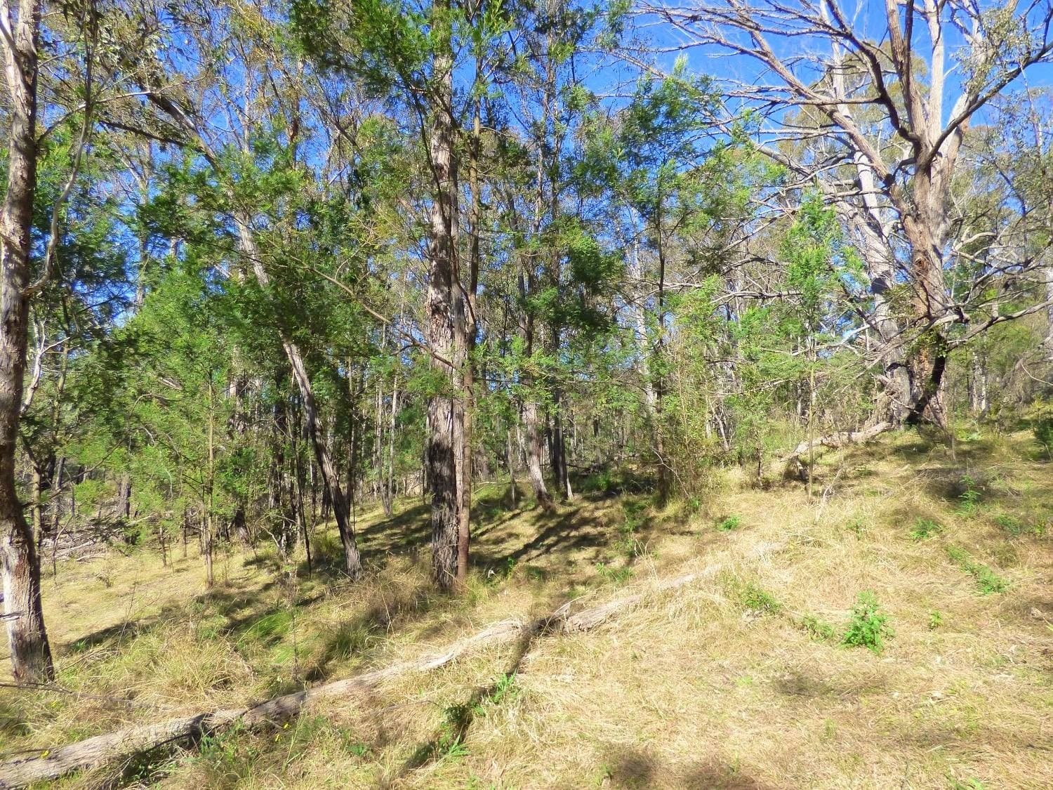 Lot 177 Umback Road, Wyndham, Wyndham - Thumbnail 6