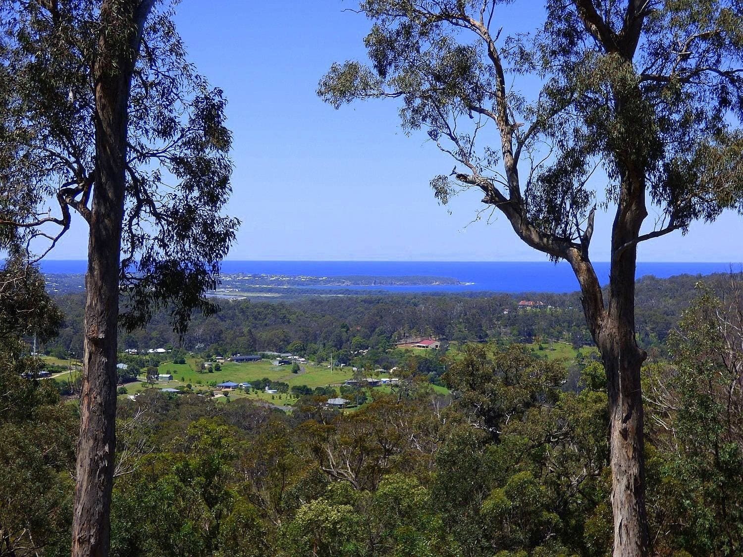 426 Oaklands Rd, BALD HILLS Via, Pambula, Pambula - Thumbnail 4