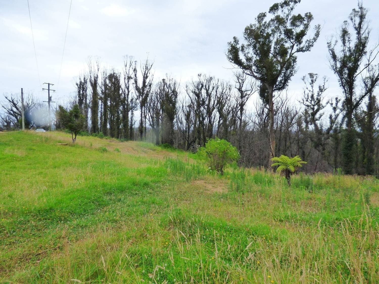 Lots 73 & 86 Hill Road, KIAH Via, Eden, Eden - Image 1