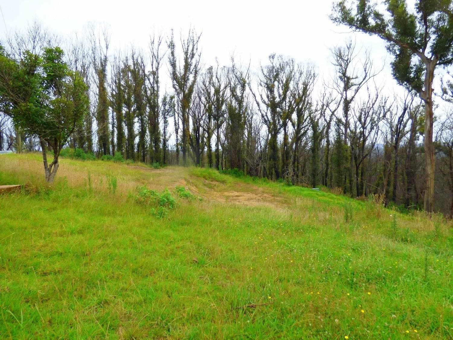 Lots 73 & 86 Hill Road, KIAH Via, Eden, Eden - Thumbnail 3