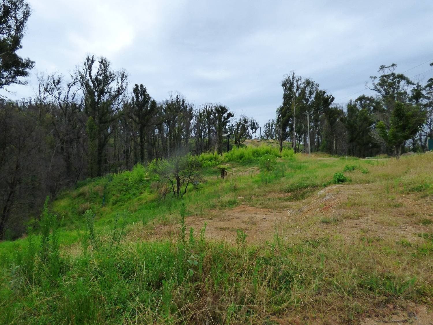 Lots 73 & 86 Hill Road, KIAH Via, Eden, Eden - Thumbnail 4