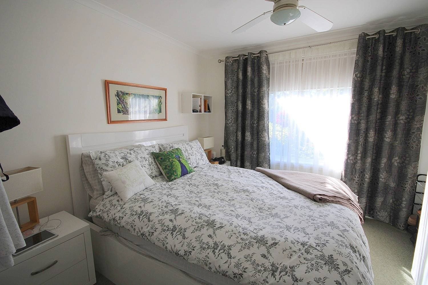 4 Dawson Ave, Wonboyn Via, Eden, Eden - Thumbnail 8