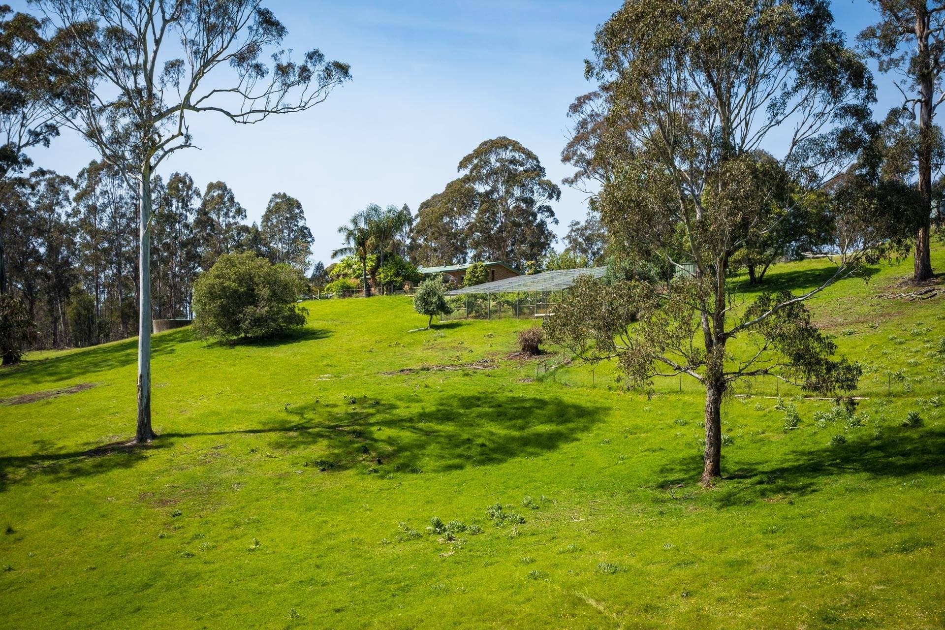 355 Oaklands Rd, Bald Hills Via, Pambula, Pambula - Thumbnail 2