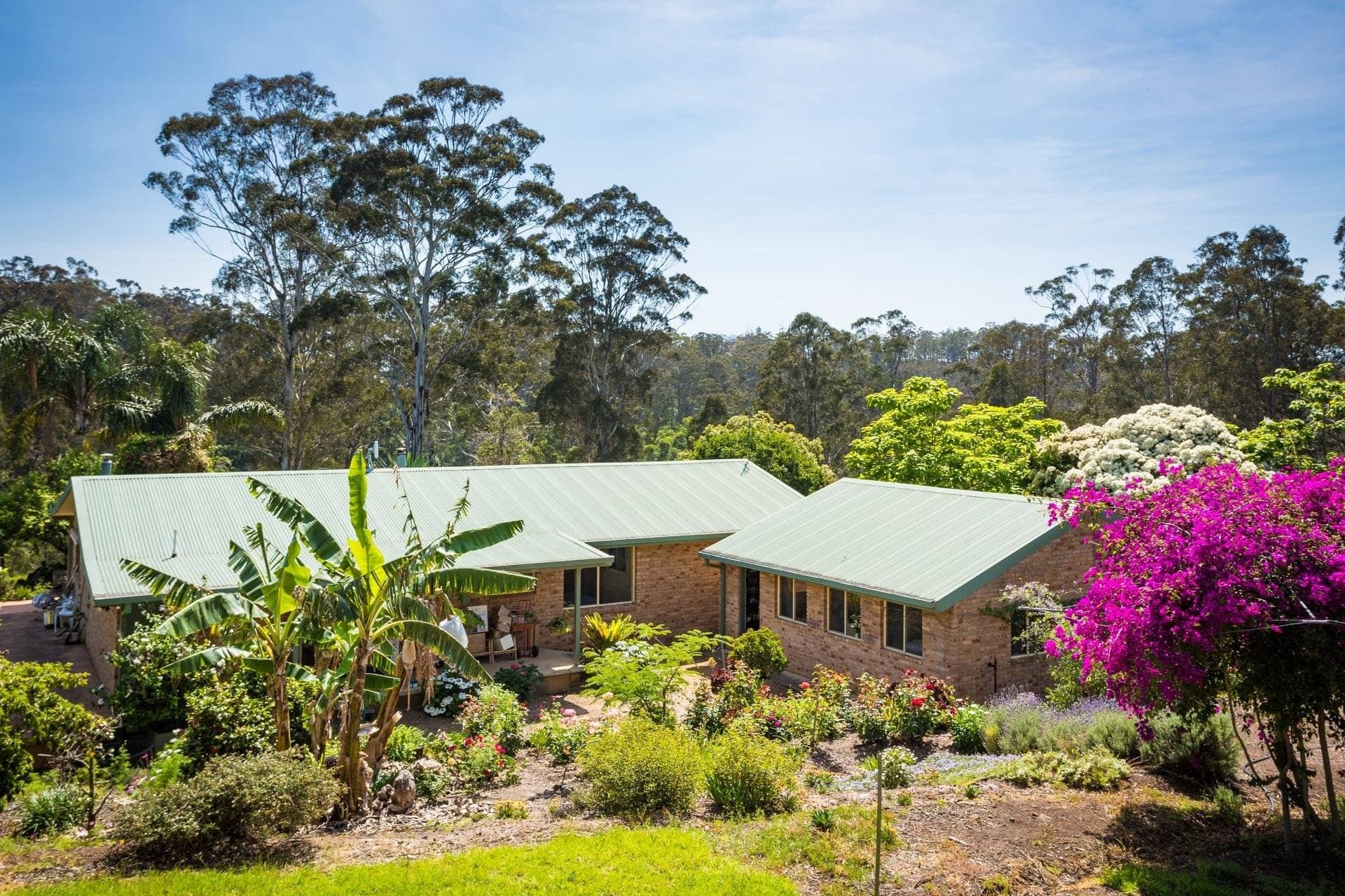 355 Oaklands Rd, Bald Hills Via, Pambula, Pambula - Thumbnail 7